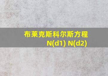 布莱克斯科尔斯方程 N(d1) N(d2)